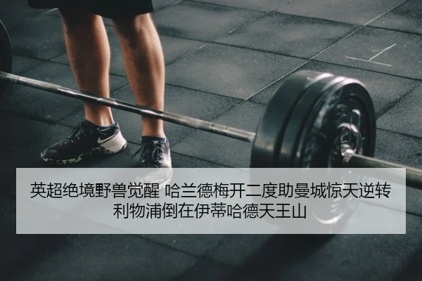 ying-chao-jue-jing-ye-shou-jue-xing-ha-lan-de-mei-kai-er-du-zhu-man-cheng-jing-tian-ni-zhuan-li-wu-pu-dao-zai-yi-di-ha-2-702.jpg